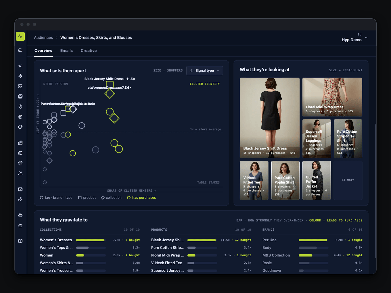 Hyp cluster detail dashboard: what sets an affinity cluster apart, the products they gravitate to, and the creative shown to them.
